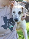 Eddie - Photo 4
