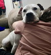 Jasmine the Jolly - Photo 3