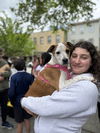 adoptable Dog in  named LeeAnn (L Puppies)