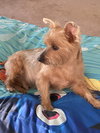 Coco - Photo 3