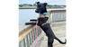 adoptable Dog in brewster, NY named Lucky the Love