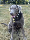 Dakota (Valley) - Photo 1