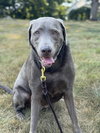 Dakota (Valley) - Photo 2