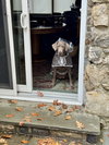 Dakota (Valley) - Photo 3