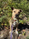 AC - Maggie Moo - Photo 1