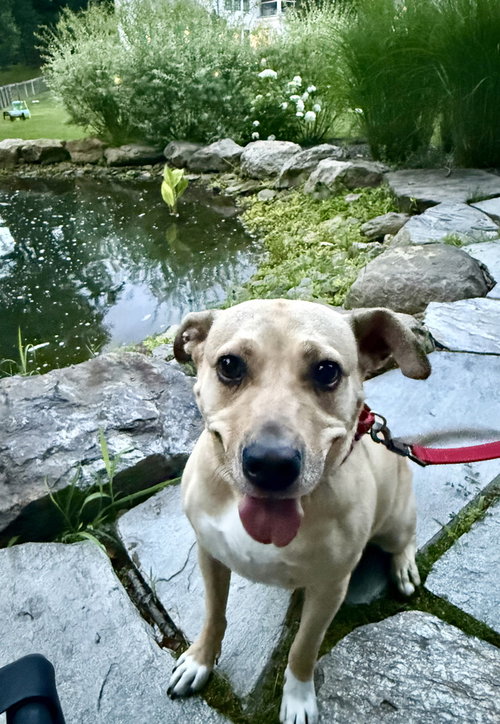 Photo 4 of Maggie Moo