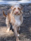 Peaches - Photo 4