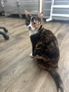 Spice - Photo 1