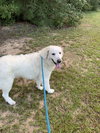 Mary - Photo 1