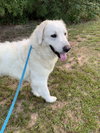 Mary - Photo 3