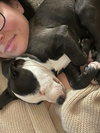 Charlie (Monroe Pups) - Photo 4