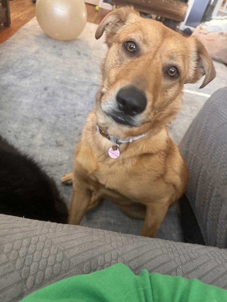 Molly (charley C-duo)
