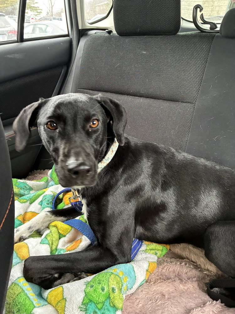 Daisy Aka Sprite