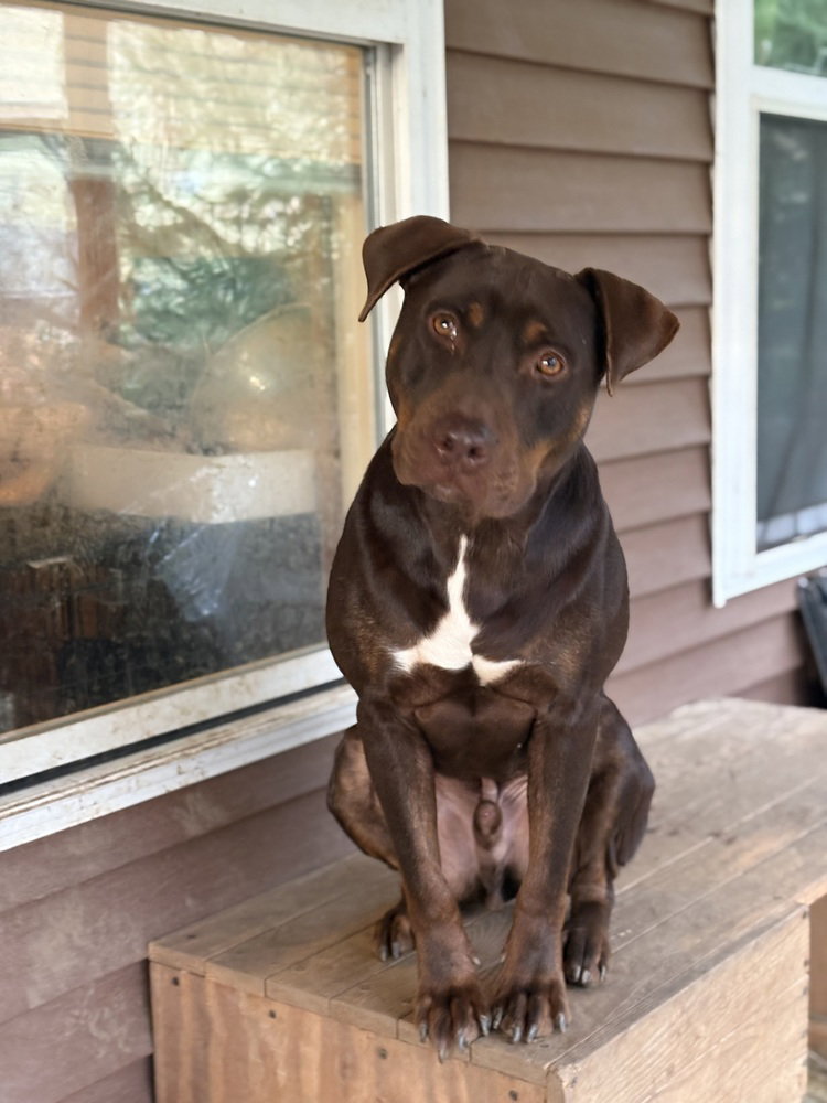 Spike (from Ga)
