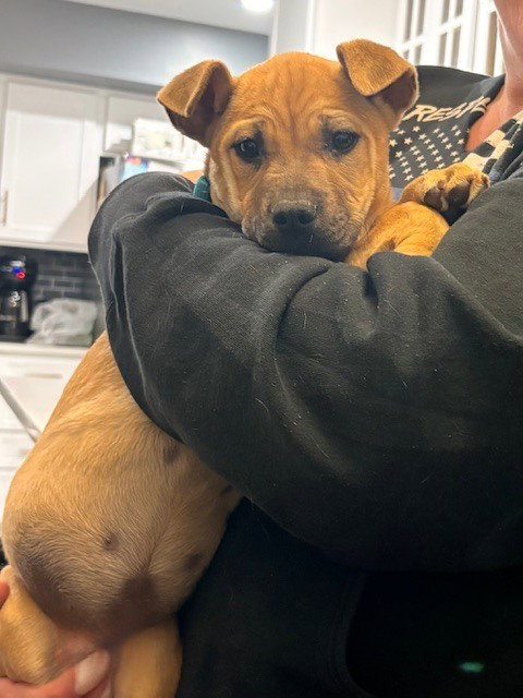 Camila (aa Litter)