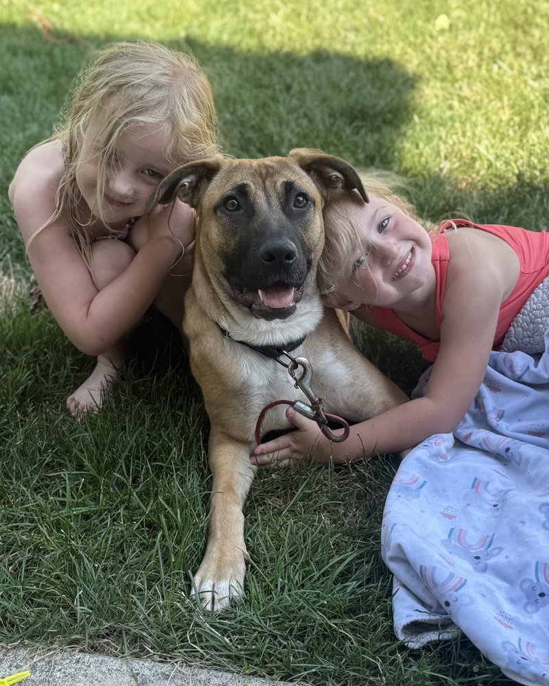 Nala (N Trio)