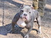 Obi - Photo 3