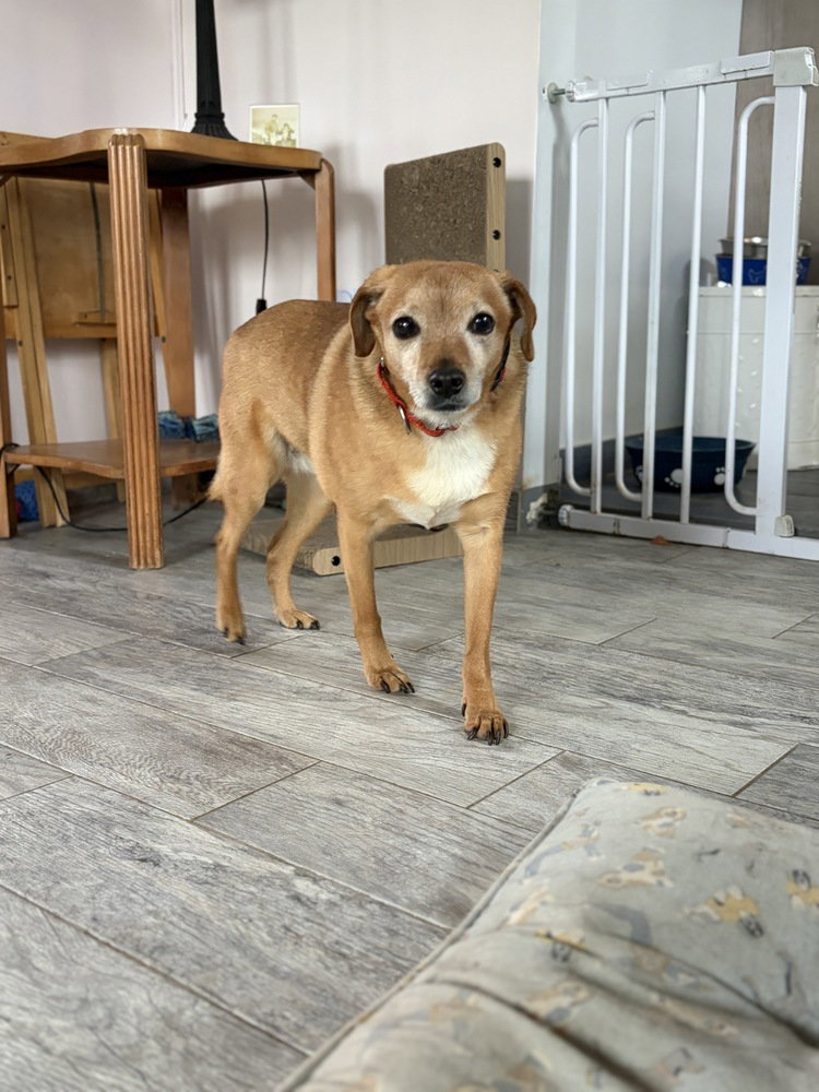 Nicky Image