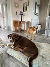 Nicky - Photo 4