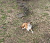 Frankie - Photo 2