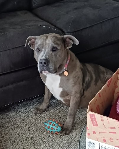 Zoe