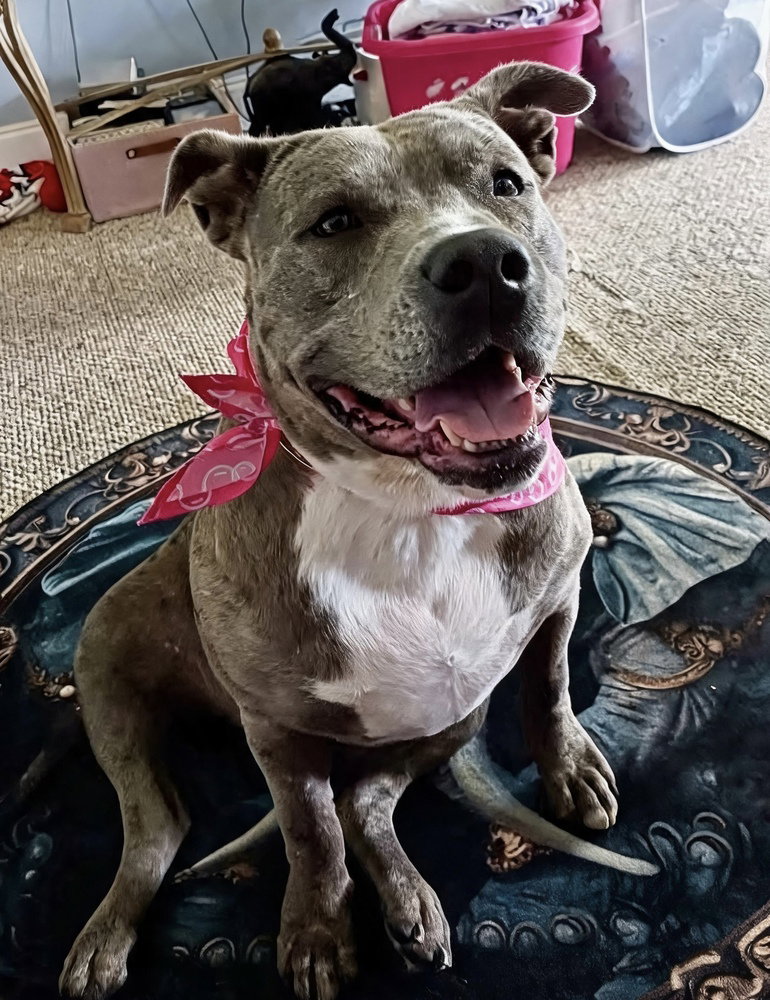 Zoe