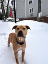Duke (NY) - Photo 1