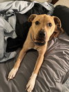 Duke (NY) - Photo 2
