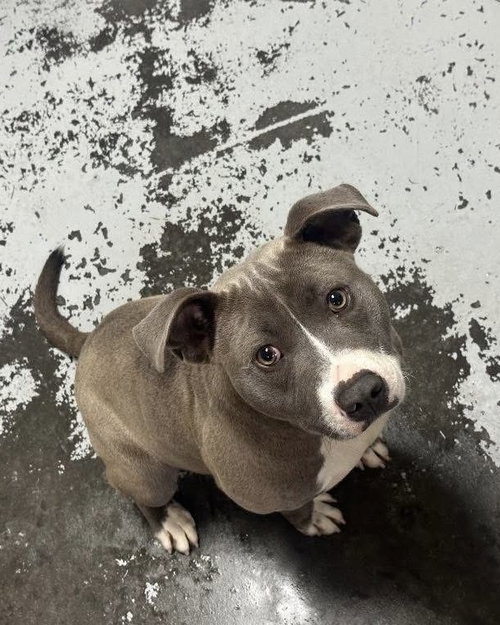 Oswald photo 2