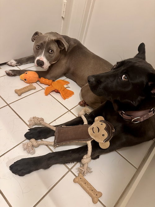 Oswald photo 4