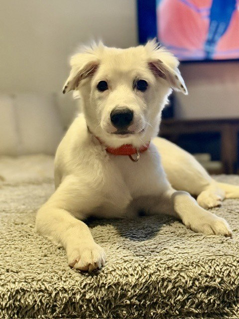 Daphne photo 3