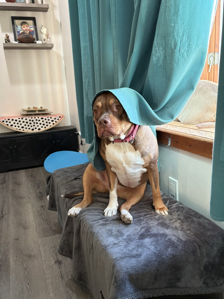 Ruby (fka Sarah), photo 3