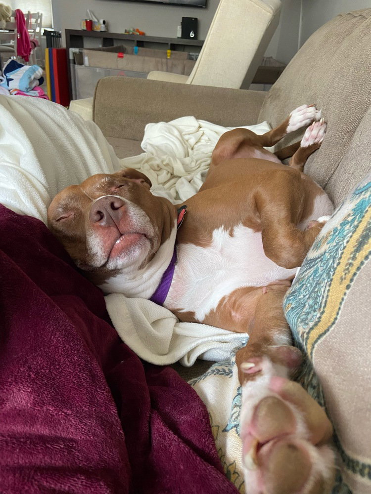 Penny (NY)