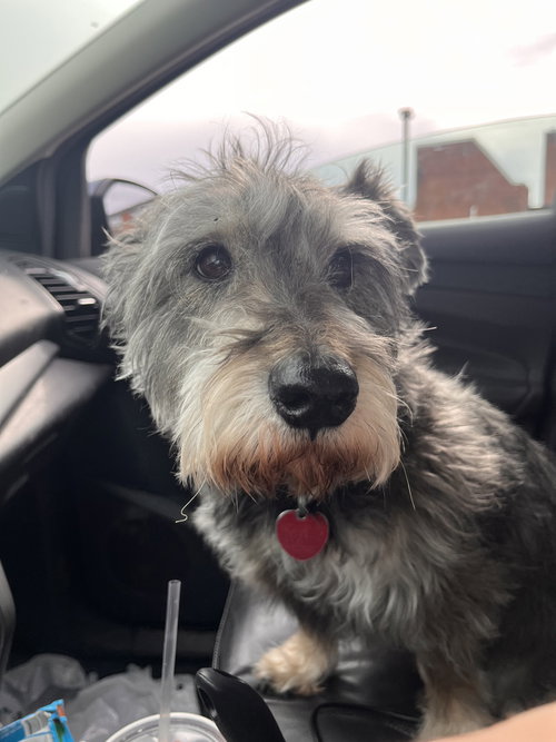 Oscar