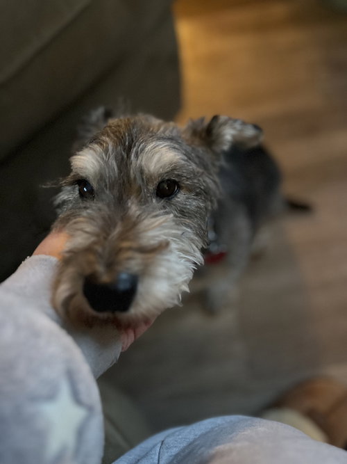 Oscar photo 4