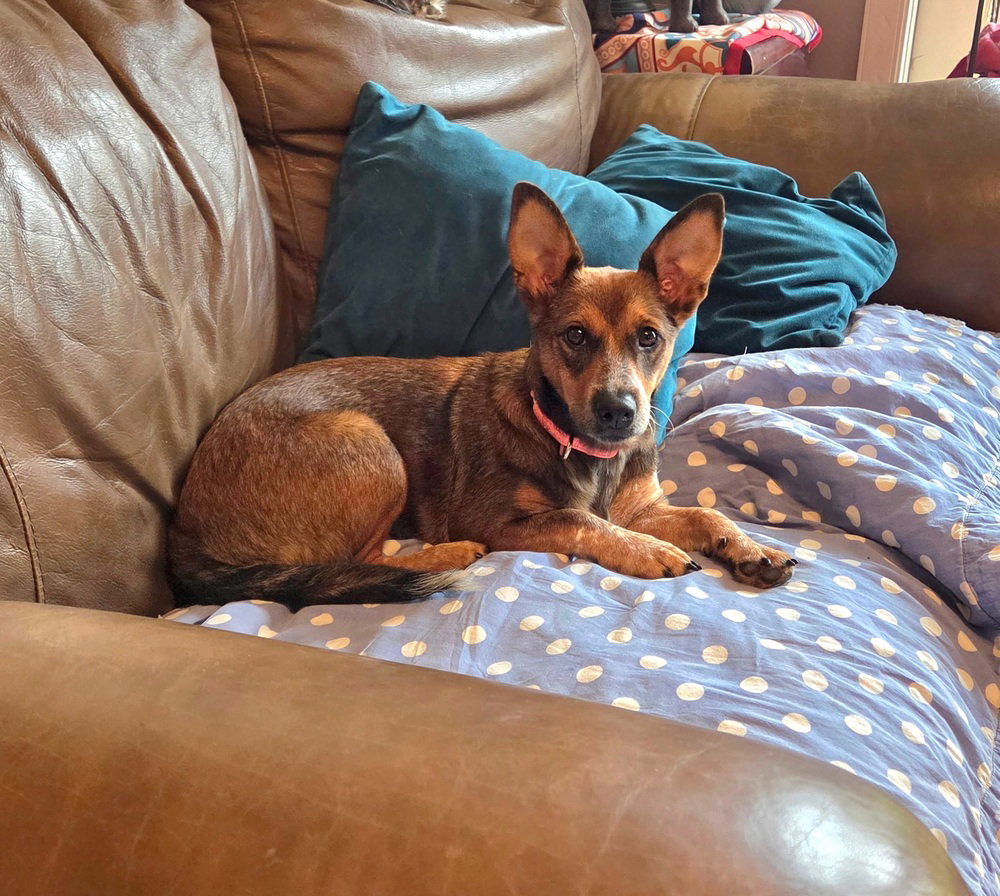 Ginny (G Sisters), photo 2