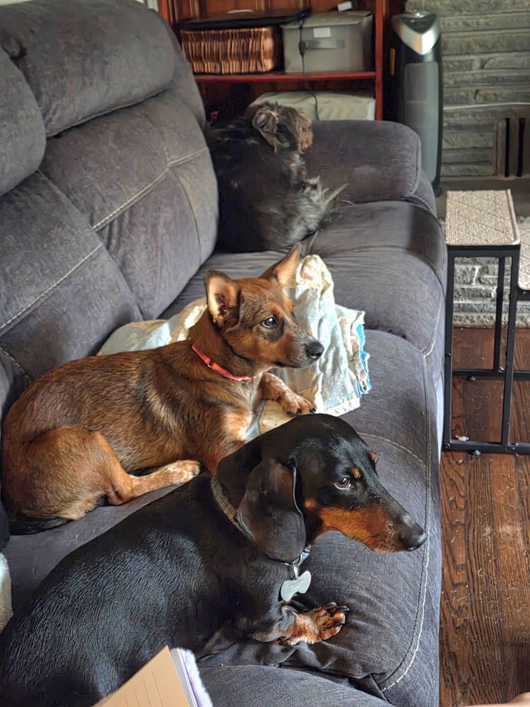 Ginny (G Sisters), photo 3