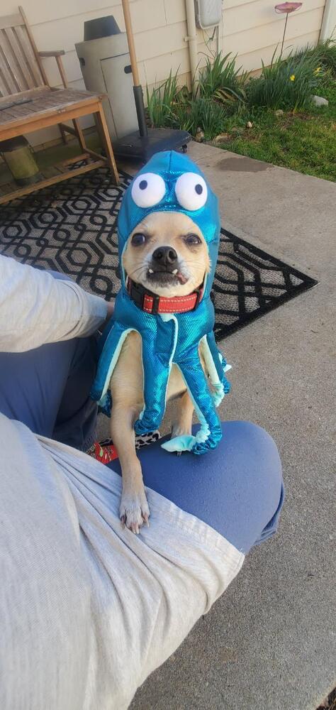 Rico