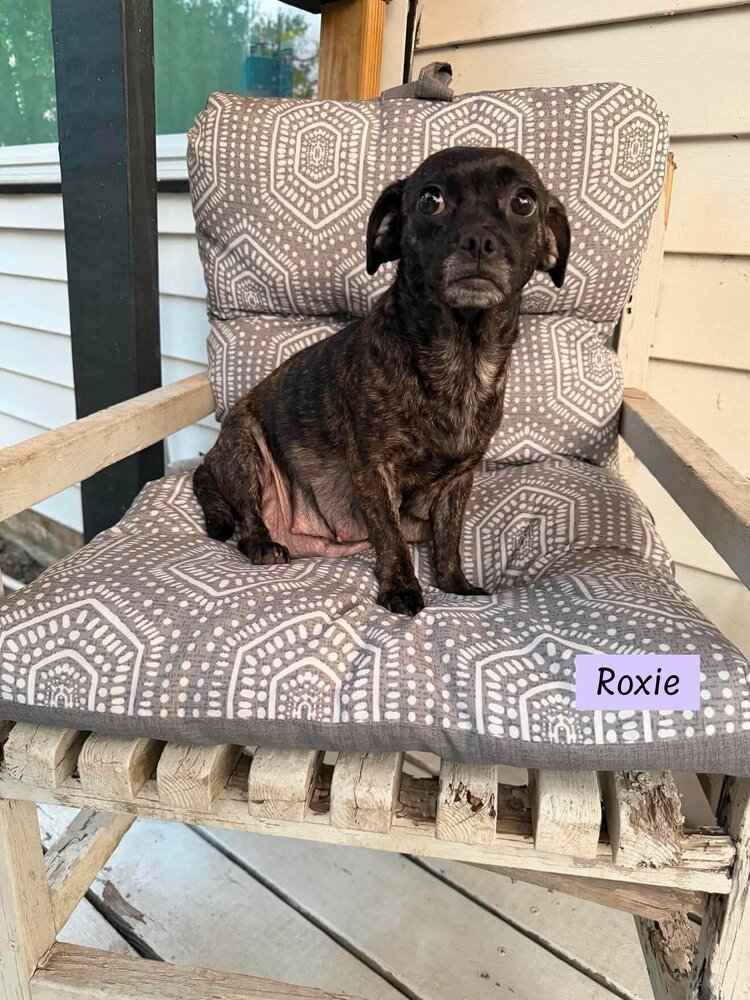 Roxie Momma
