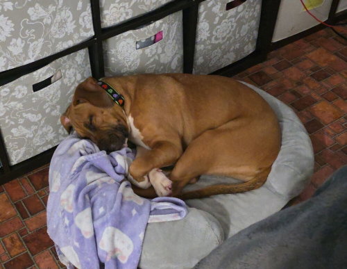 Photo 3 of Star