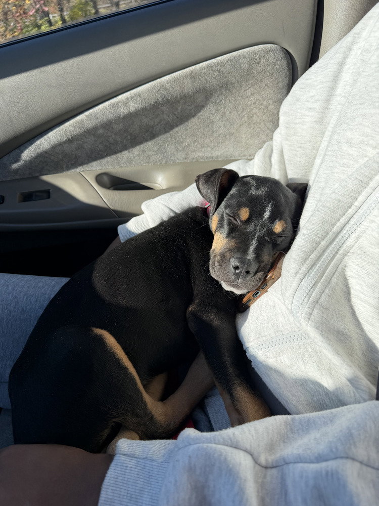 Jenny, photo 2