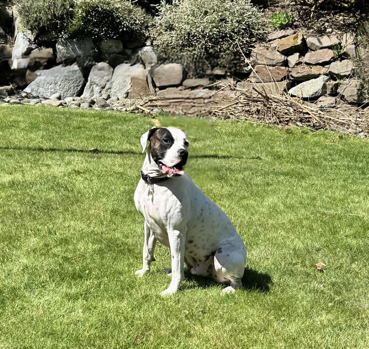 Tyson