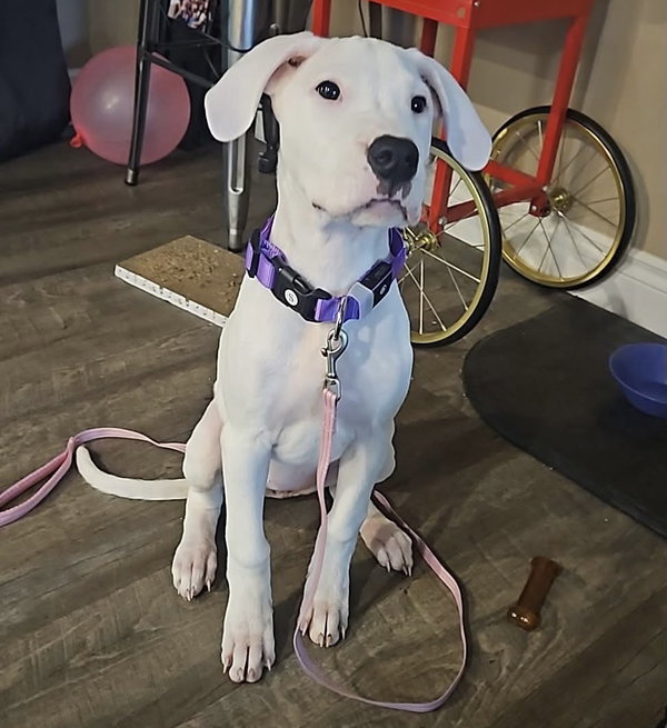 Win