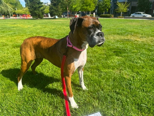 Abby photo 5