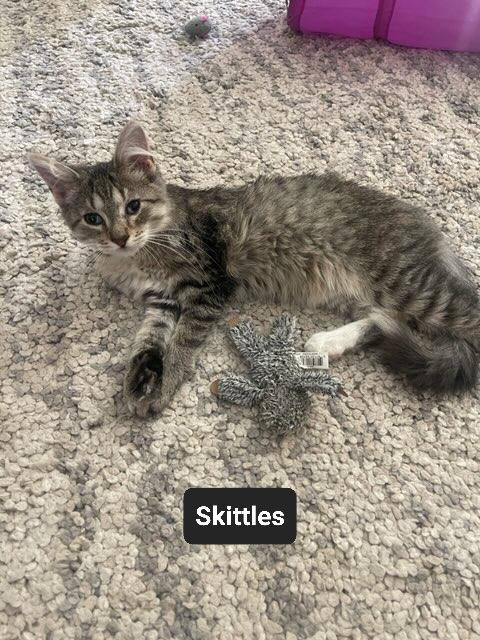 Skittles