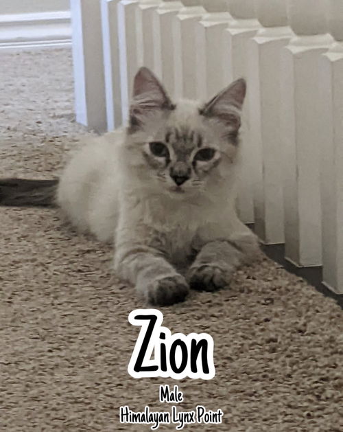 Zion