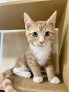 Dolly (Bonded with Luca)
