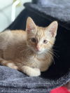 Tigger 3
