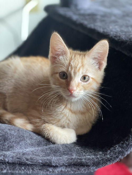 Tigger 3