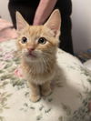 Tigger 3